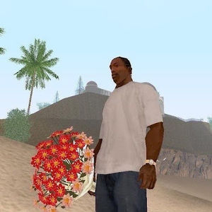 Meet your Posher, Janai